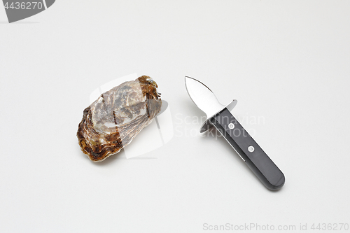 Image of Oyster and Shucker
