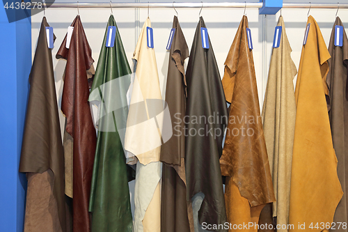 Image of Leather Pelts