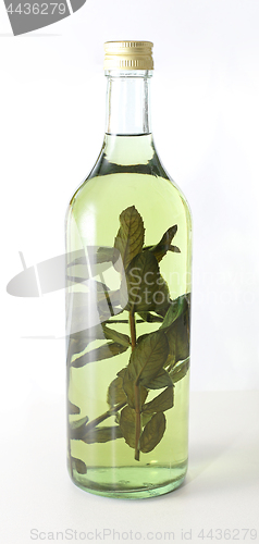 Image of Herbs Brandy