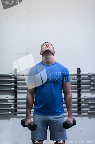 Image of weight training fitness man