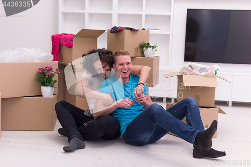 Image of young  gay couple moving  in new house