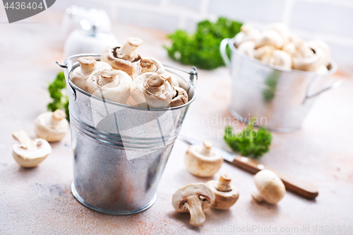 Image of champignons