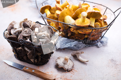 Image of mushrooms