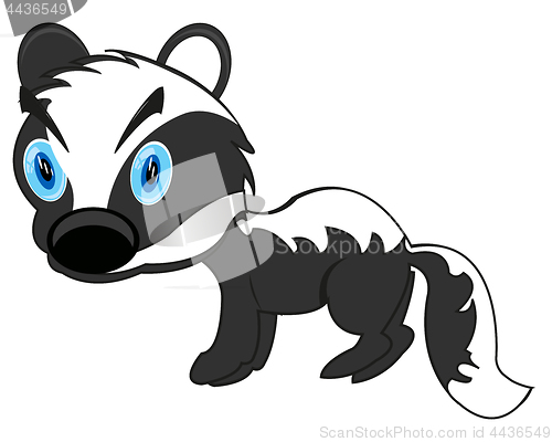 Image of Animal badger on white background is insulated