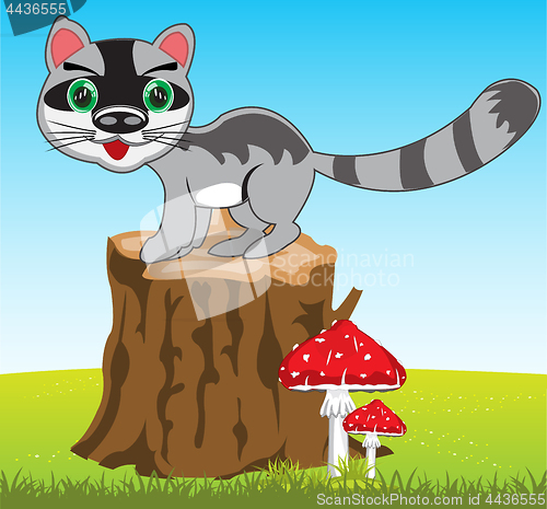 Image of Cartoon of the wildlife racoon on nature