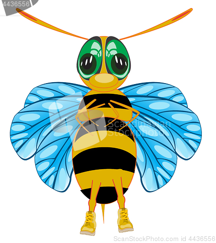 Image of Cartoon insect bee on white background is insulated