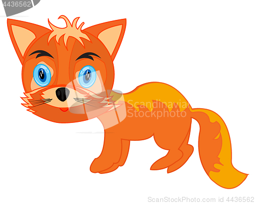 Image of Wildlife fox on white background is insulated