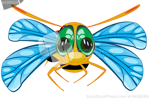 Image of Vector illustration insect bee on white background