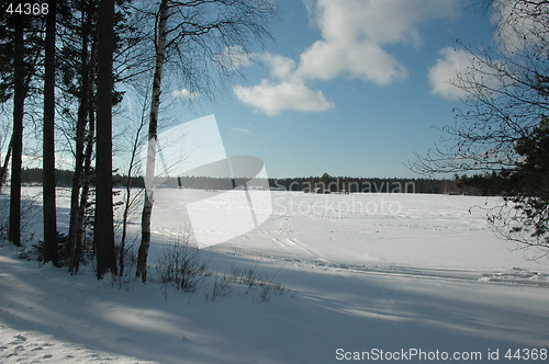 Image of Winterday