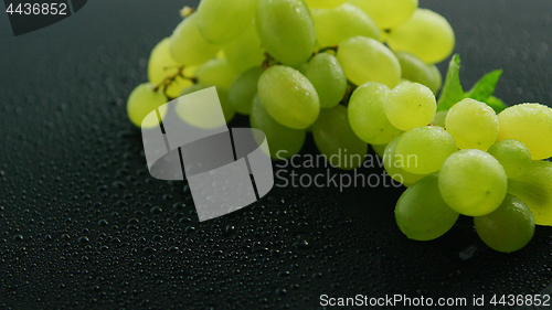 Image of Green grapes on wet table 