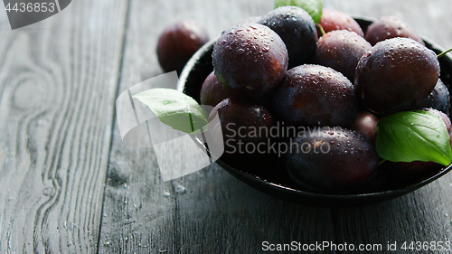 Image of Wet purple plums in bowl