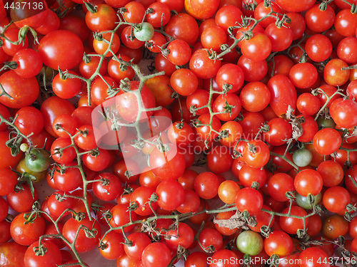 Image of Cherry tomato vegetables