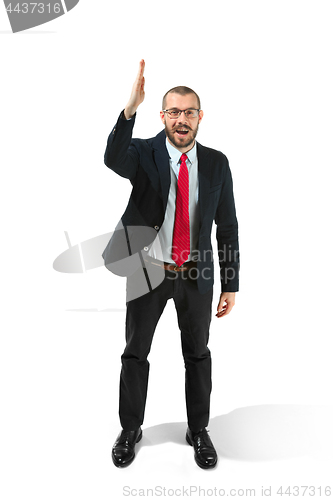 Image of Choose me. Full body view of businessman on white studio background