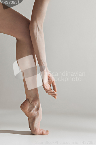 Image of Close-up ballerina\'s legs on the white floor