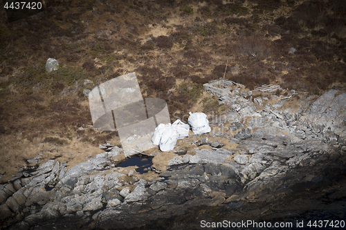 Image of Collecting Plastic Waste