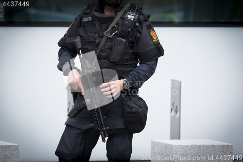 Image of Norwegian Armed Police