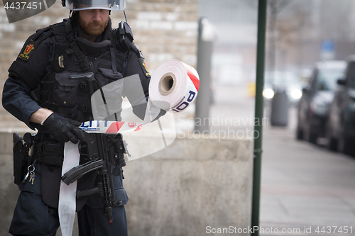 Image of Norwegian Armed Police