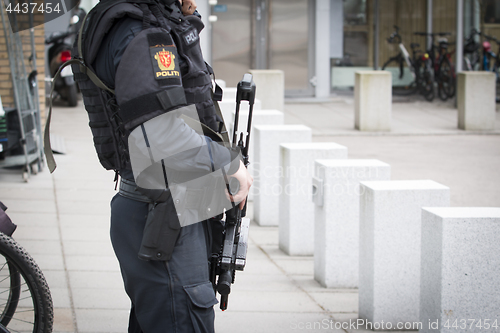 Image of Norwegian Armed Police