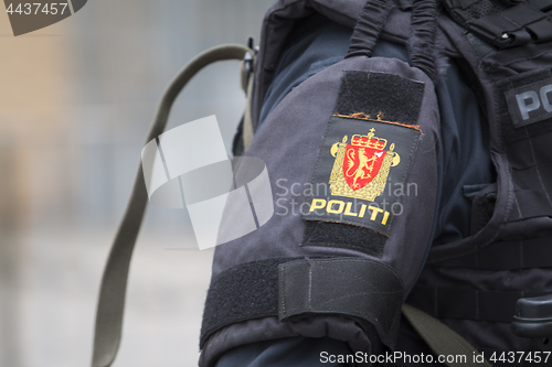 Image of Norwegian Armed Police