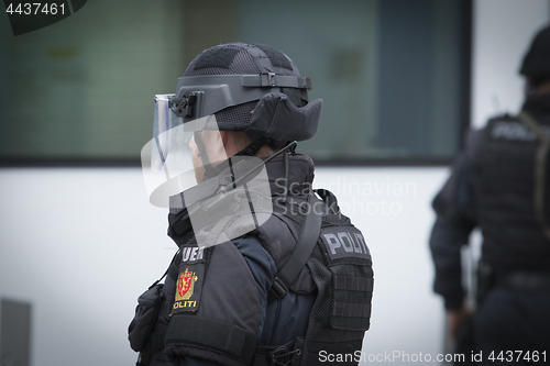 Image of Norwegian Armed Police