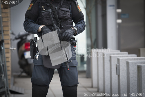 Image of Norwegian Armed Police