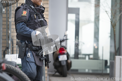 Image of Norwegian Armed Police
