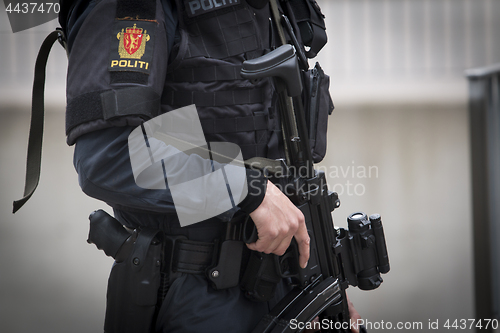 Image of Norwegian Armed Police