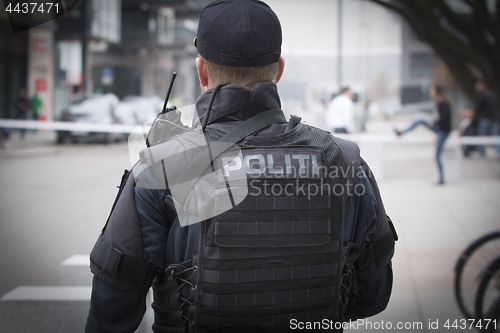 Image of Norwegian Armed Police