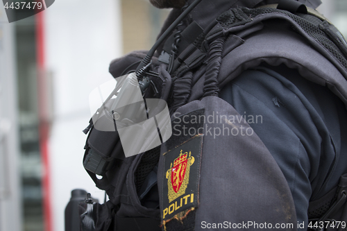 Image of Norwegian Armed Police