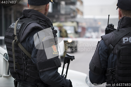 Image of Norwegian Armed Police