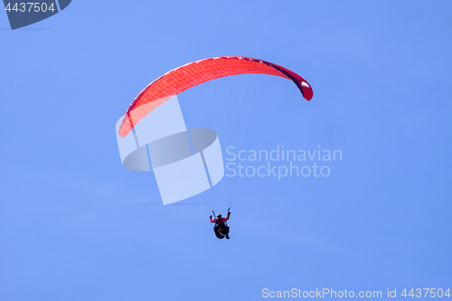 Image of Paraglider in the sky