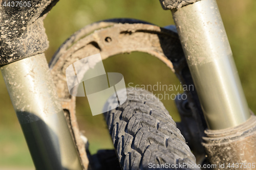 Image of Close-up of bicycle tires