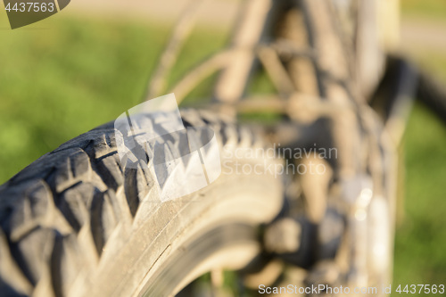Image of Close-up of bicycle tires