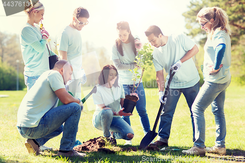 Image of group of volunteers planting tree in park