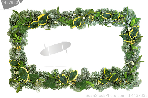 Image of Winter Flora Background Border