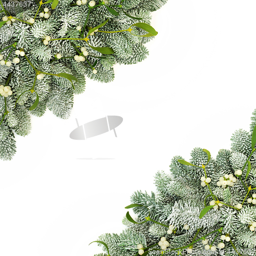 Image of Mistletoe and Spruce Pine Background Border