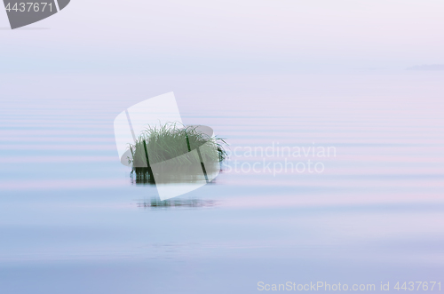 Image of Smooth White Water Surface Background With Grass Island