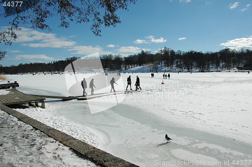 Image of Winterday