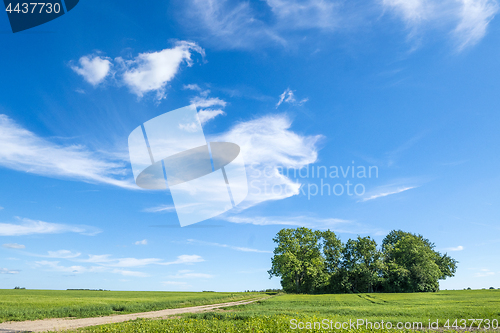 Image of Summer landscape with magical cloud figures