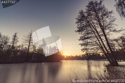 Image of Frozen lake with tree silhouttes on the shore