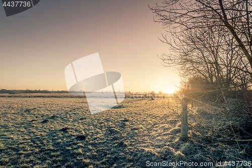 Image of Rural sunrise in the winter with a frozen meadow