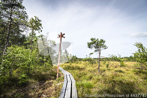 Image of Long wooden nature trail going through a bog