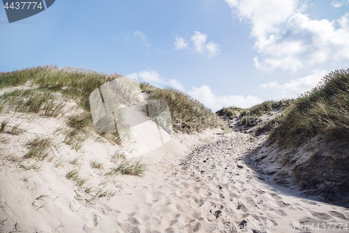 Image of Footsteps in the sand on a beach with lyme grass