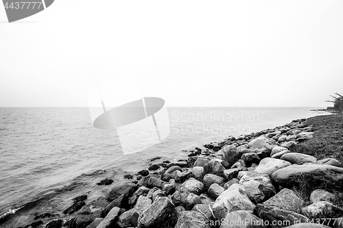 Image of Rocks by the seashore in a black and white