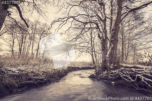 Image of River running through a forest in the wintertime