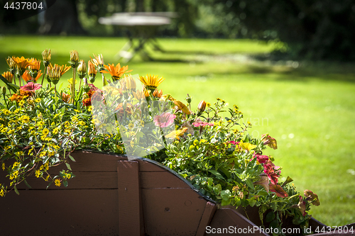 Image of Colorful flowers in a wooden wheelbarrow