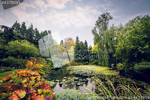 Image of Garden pond with various plants in beautiful colors