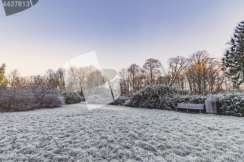 Image of Park in the winter with a wooden bench