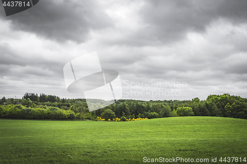 Image of Cloudy weather over a rural green field