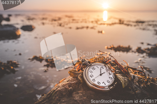 Image of Antique pocket watch on a rock by the sea